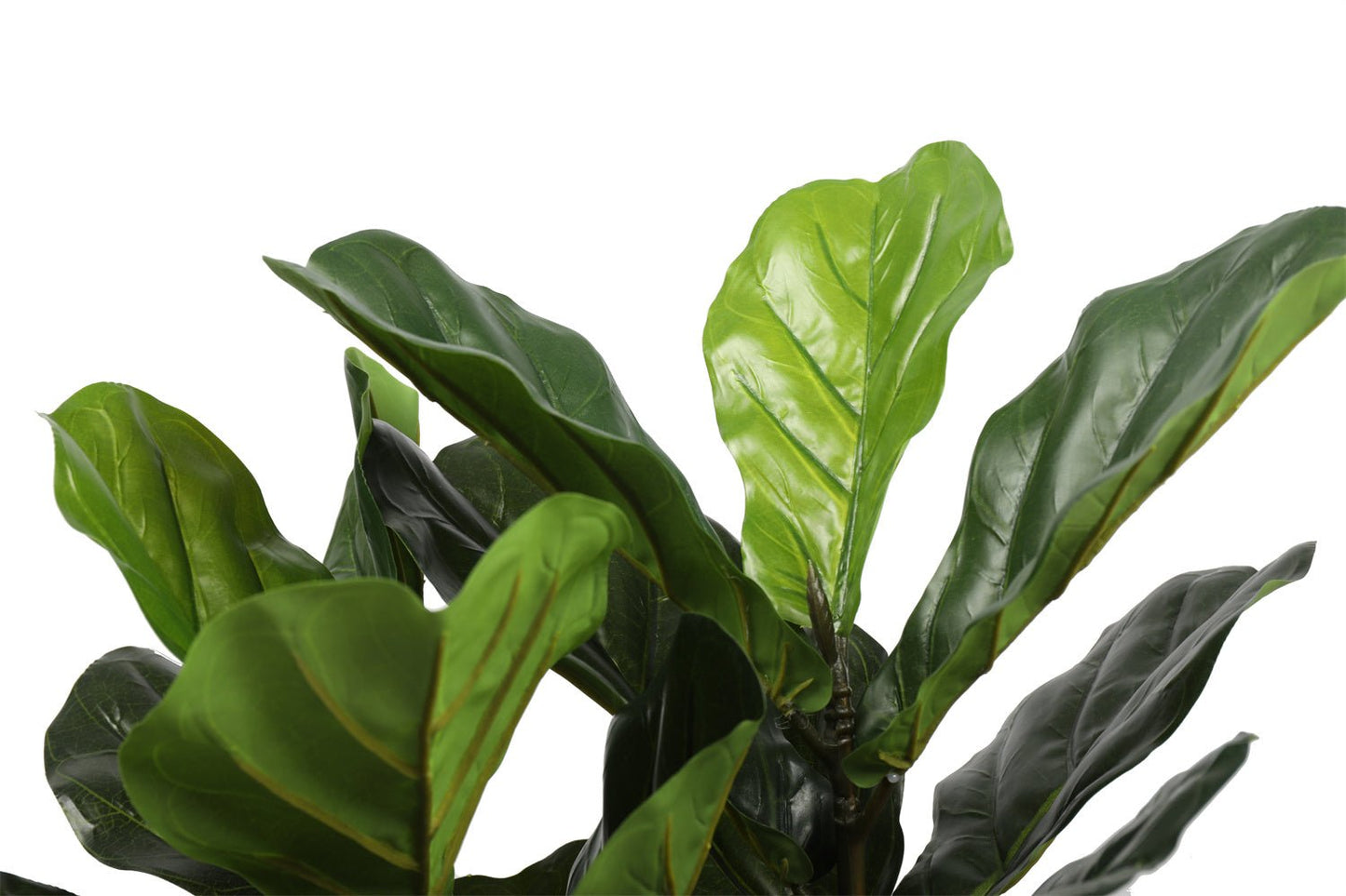 Artificial Fiddle Fig Tree 70cm